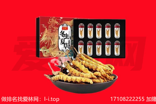 松潘县回收虫草.jpg